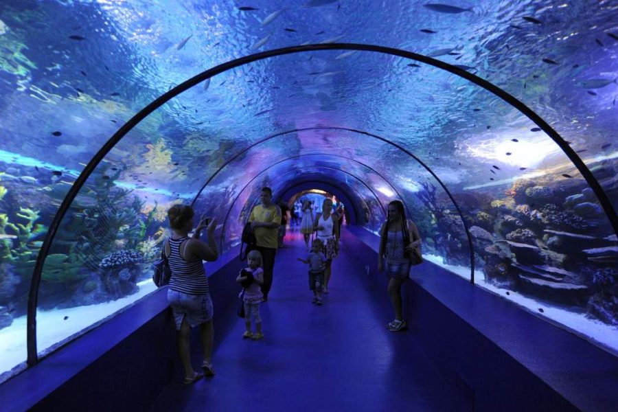 Antalya Aquarium Tour