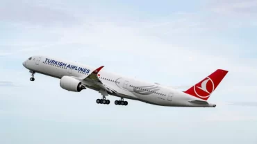 plane - Turkish Airline